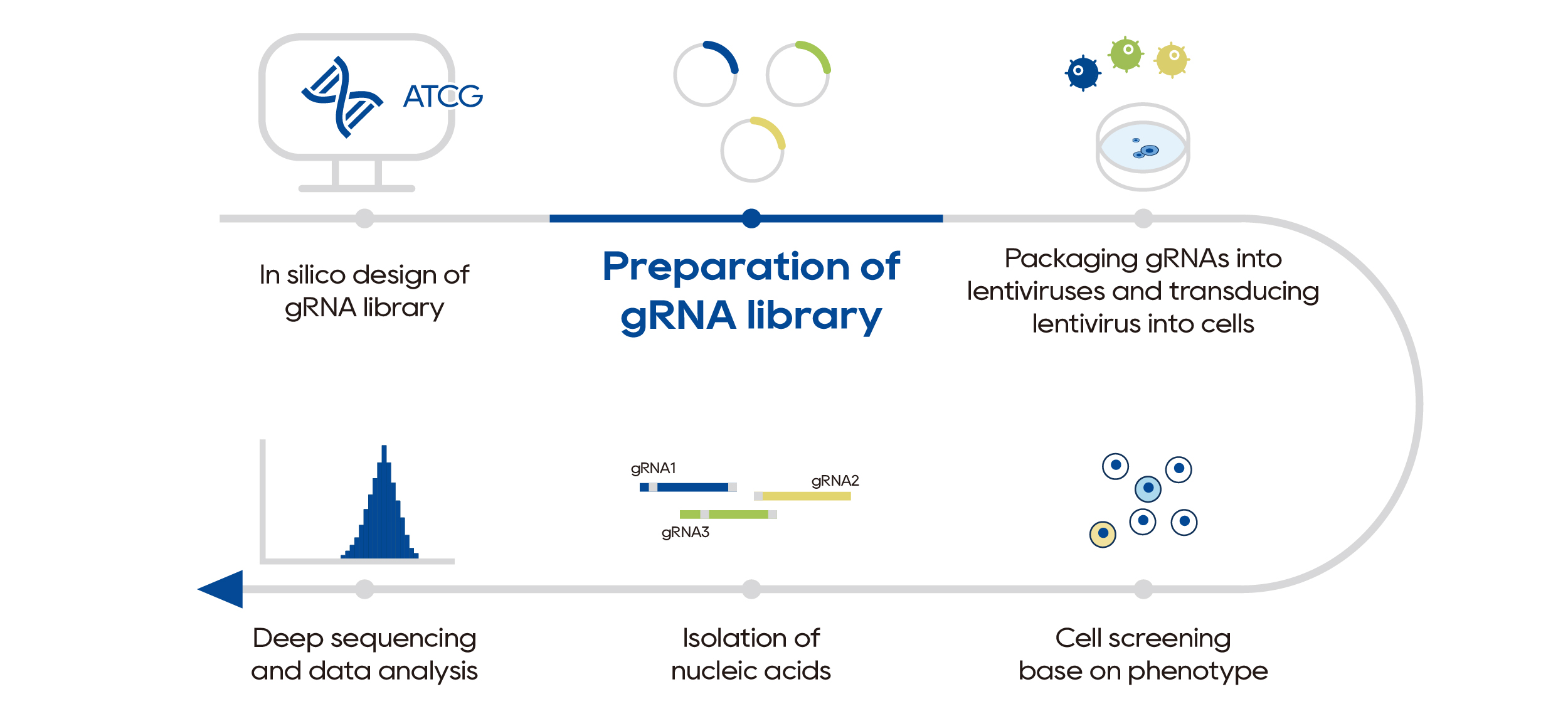 Workflow of functional gene identification